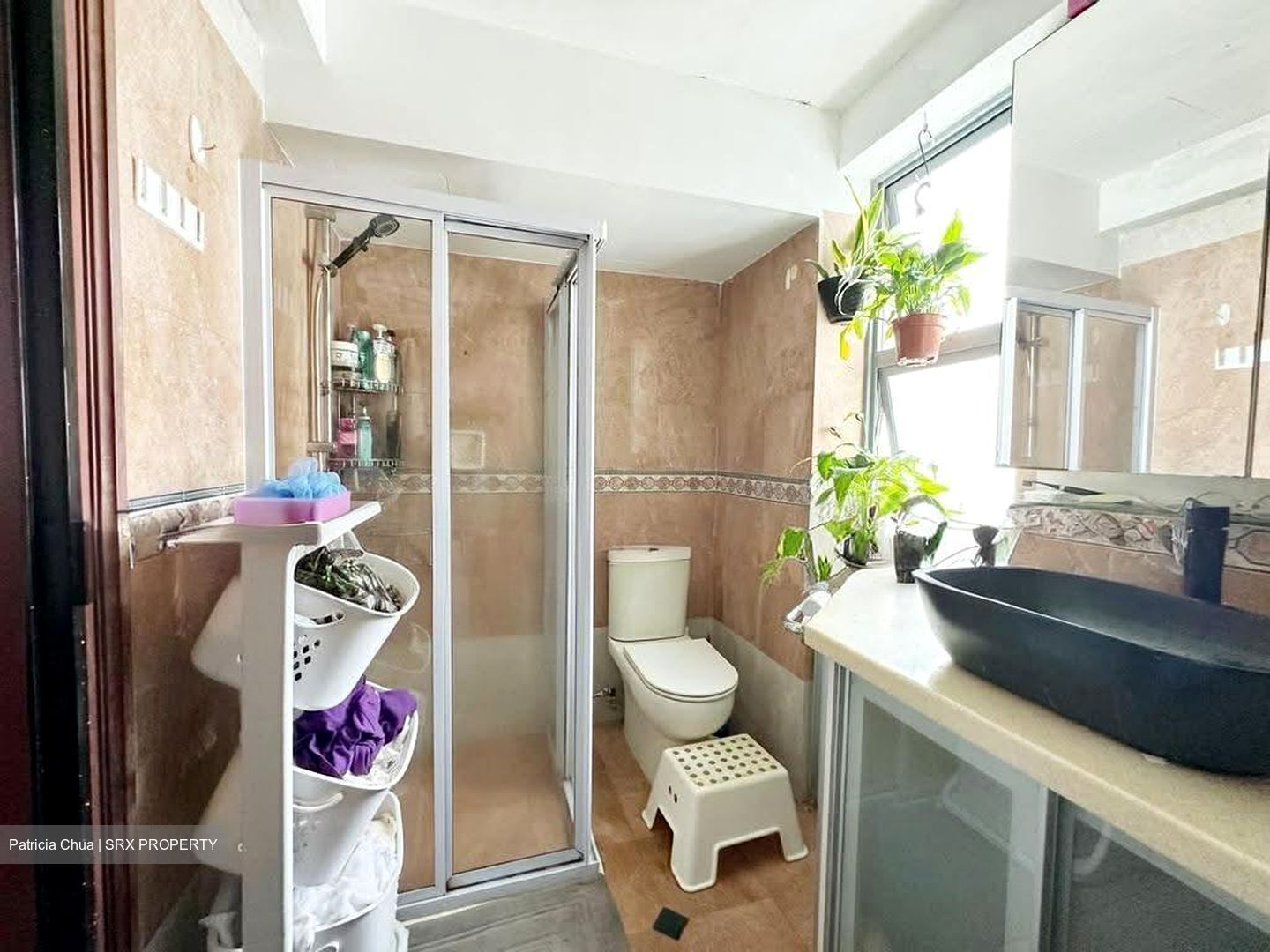 Aquarius By The Park (D16), Condominium #612936151